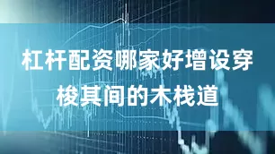 杠杆配资哪家好增设穿梭其间的木栈道