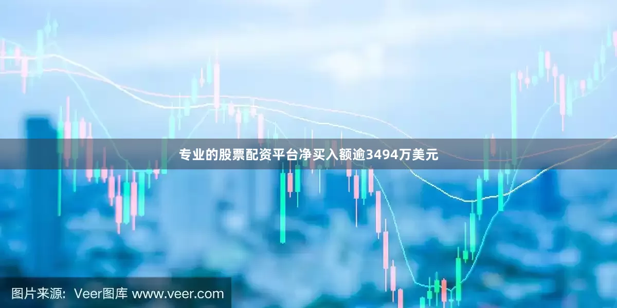 专业的股票配资平台净买入额逾3494万美元