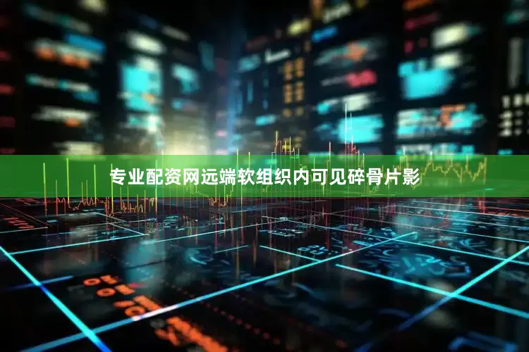 专业配资网远端软组织内可见碎骨片影