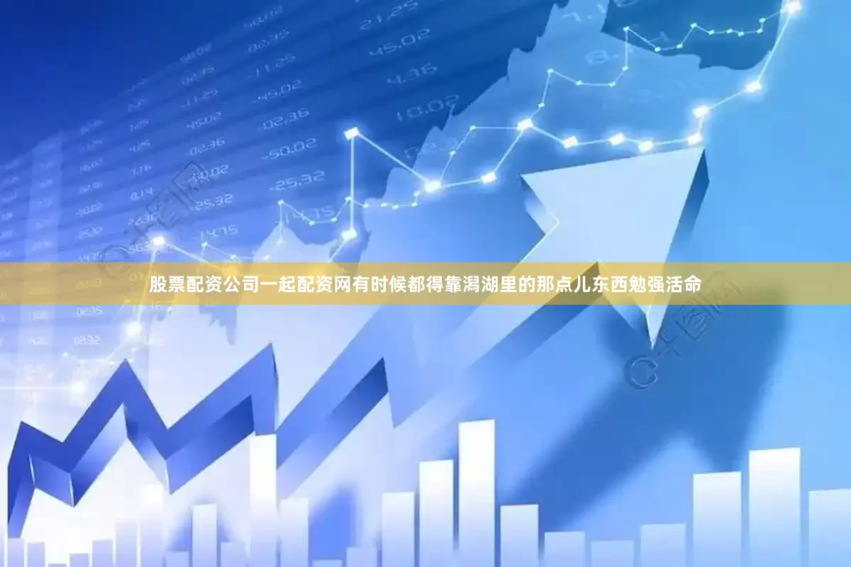 股票配资公司一起配资网有时候都得靠潟湖里的那点儿东西勉强活命