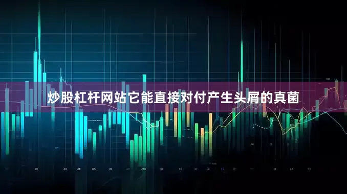 炒股杠杆网站它能直接对付产生头屑的真菌
